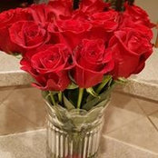 Rose Briskeys billede