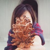 Foto von Hyang Chu