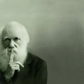 Artem Pogodin's photo