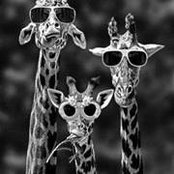 Irma Palomo's photo