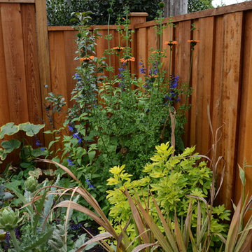 Raised Vegetable / Ornamental Garden