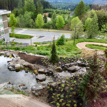 Mountain Top Pond