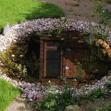 Wildlife Pond Ideas