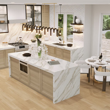Black and White Kitchen and Living Room