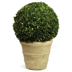 Traditional Artificial Plants And Trees Preserved Boxwood Ball in Pot