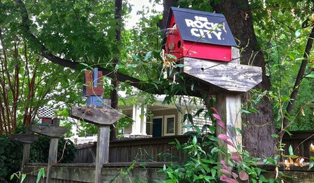 Local Color: Souvenir Birdhouses Flock to Southern Homes