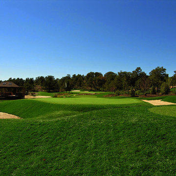 Private Synthetic Par 3 Golf Course