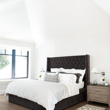 Organic Transitional Interior in Altamont