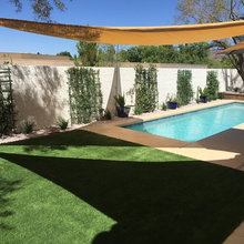 LV Backyard
