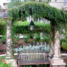 Outdoor Bench