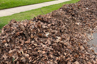 Design ideas for a landscaping in New York.
