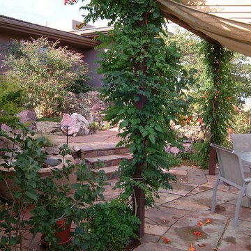 Kitchen patio