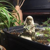 Betsy Urquhart's photo