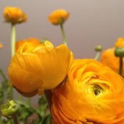 Karen Toal's photo