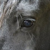 Erica Bach's photo