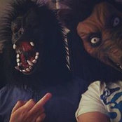 David Mitchelson's photo