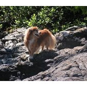 Barbara Stewart's photo