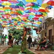 Julia Dos Santos's photo