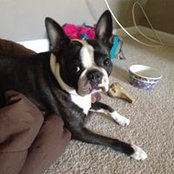 Amy Craven's photo