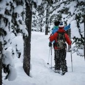 Graham Reimer's photo