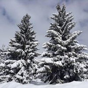 Federica Di Summa's photo