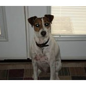 Donna Martinez's photo