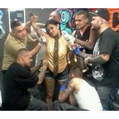 Damn Tatteds billede