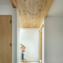 Door & Window Trim