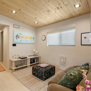 Modern ADU w/ Art Gallery & Rooftop Deck- NextGen Home Builders in Highland Park