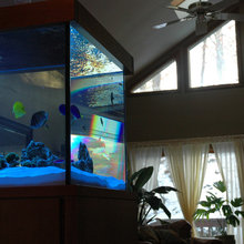 300 Gallon Reef Tank