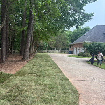 Safe Tree Removal and Property Protection