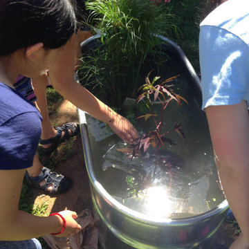 Outdoor Classroom