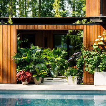 Modern Mountain Home