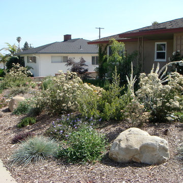 various photos