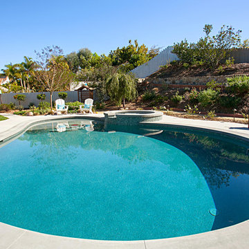 Backyard Dreams