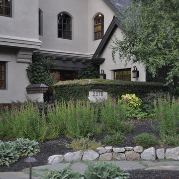 Drought Tolerant 1