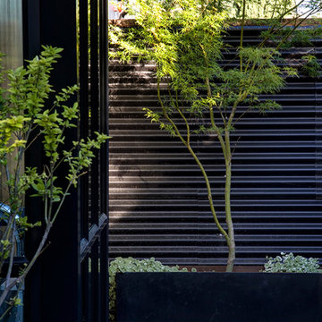 Black Is The New Farmhouse