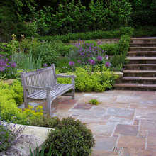 Landscape Ideas