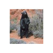 Alexander Arakkel's photo