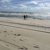 Paula Shugart's photo