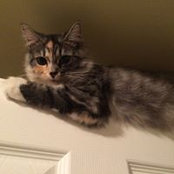 Sarah Hendricks's photo
