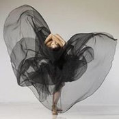 Diana Tart's photo