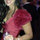 Tracey Wolkowitz-Hertz