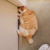 Quen Chung's photo