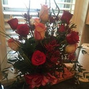 Shawna Allmon's photo