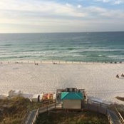 Angie Dalton's photo