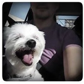 Hansol Park's photo