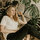 ashley_vonschulman