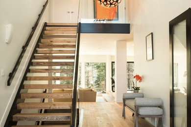 Inspiration for a modern entryway remodel in Edmonton