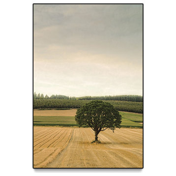 "Lone Tree in an Autumn Field" Oversized Framed Canvas, 60" x 40"